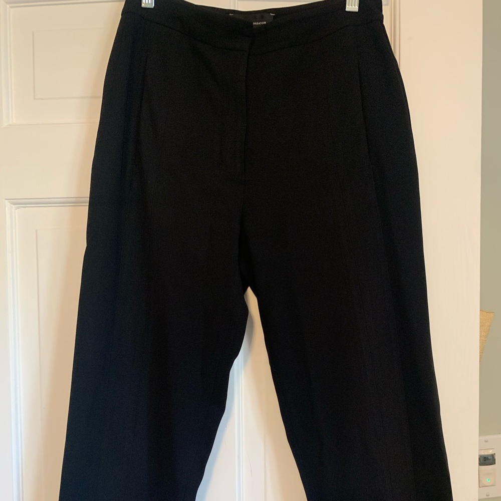 Aritzia Babaton slacks